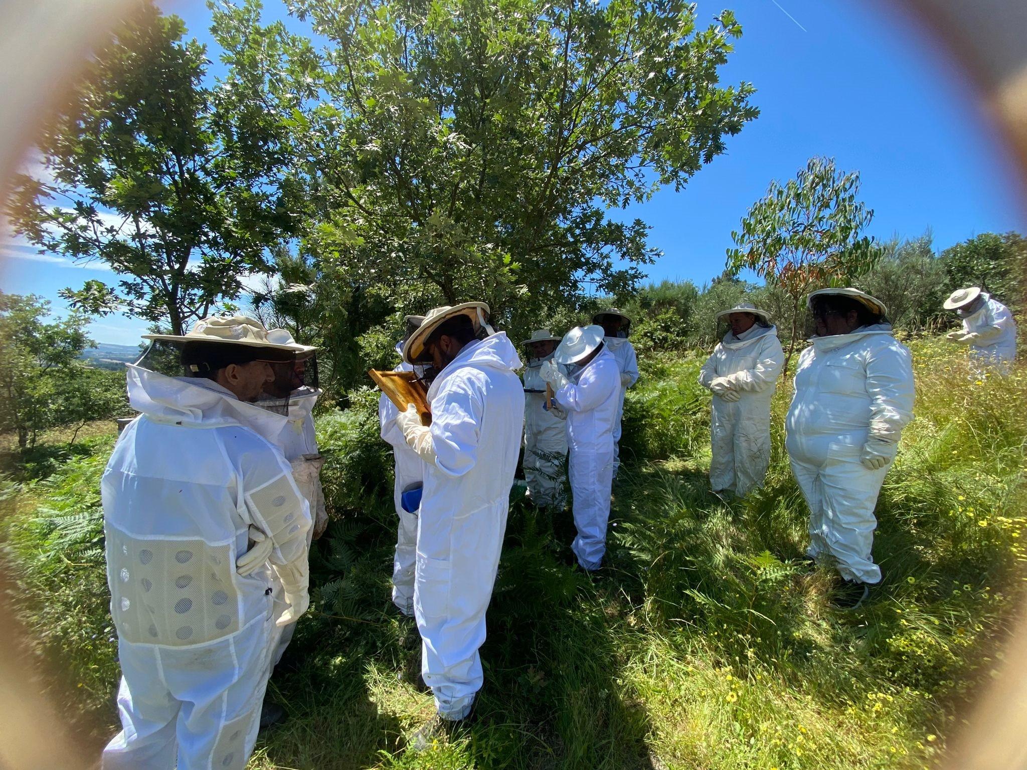 MANEIO E CONDUÇÃO DE COLÓNIAS