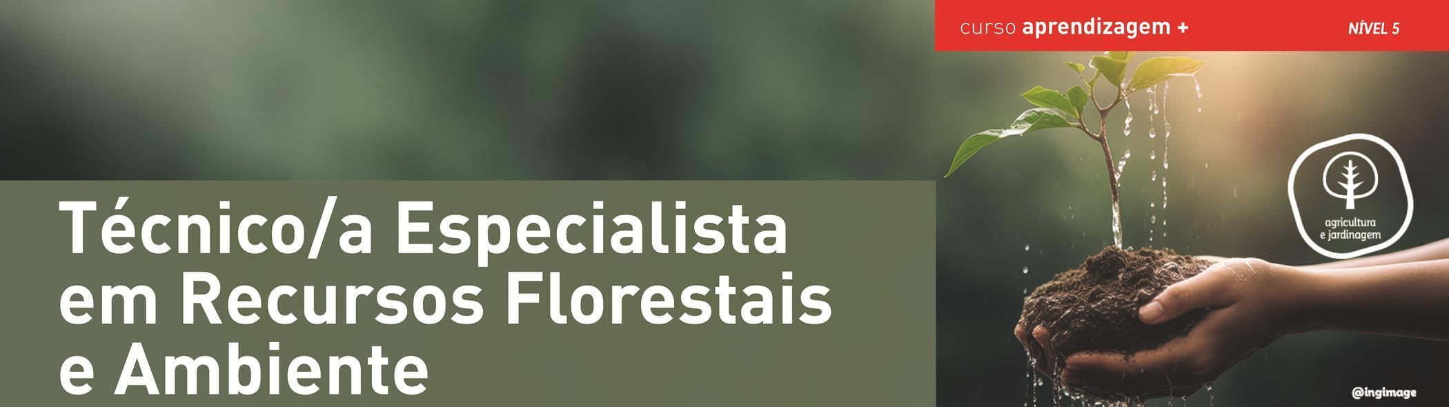 Técnico Especialista em Recursos Florestais e Ambiente