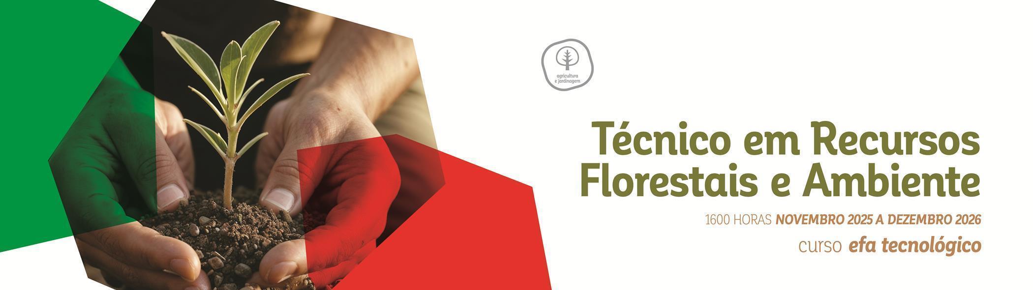Técnico/a de Recursos Florestais e Ambientais